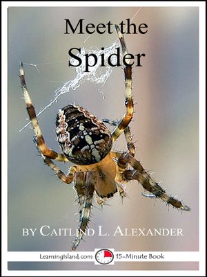 cover image of Meet the Spider